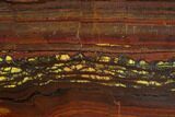 Polished Tiger Iron Stromatolite - Billion Years #129279-1
